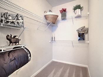 Spacious walk-in closets at Abberly Grove Apartment Homes by HHHunt, Raleigh, NC 27610